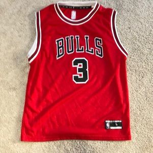 Dwyane Wade Bulls jersey